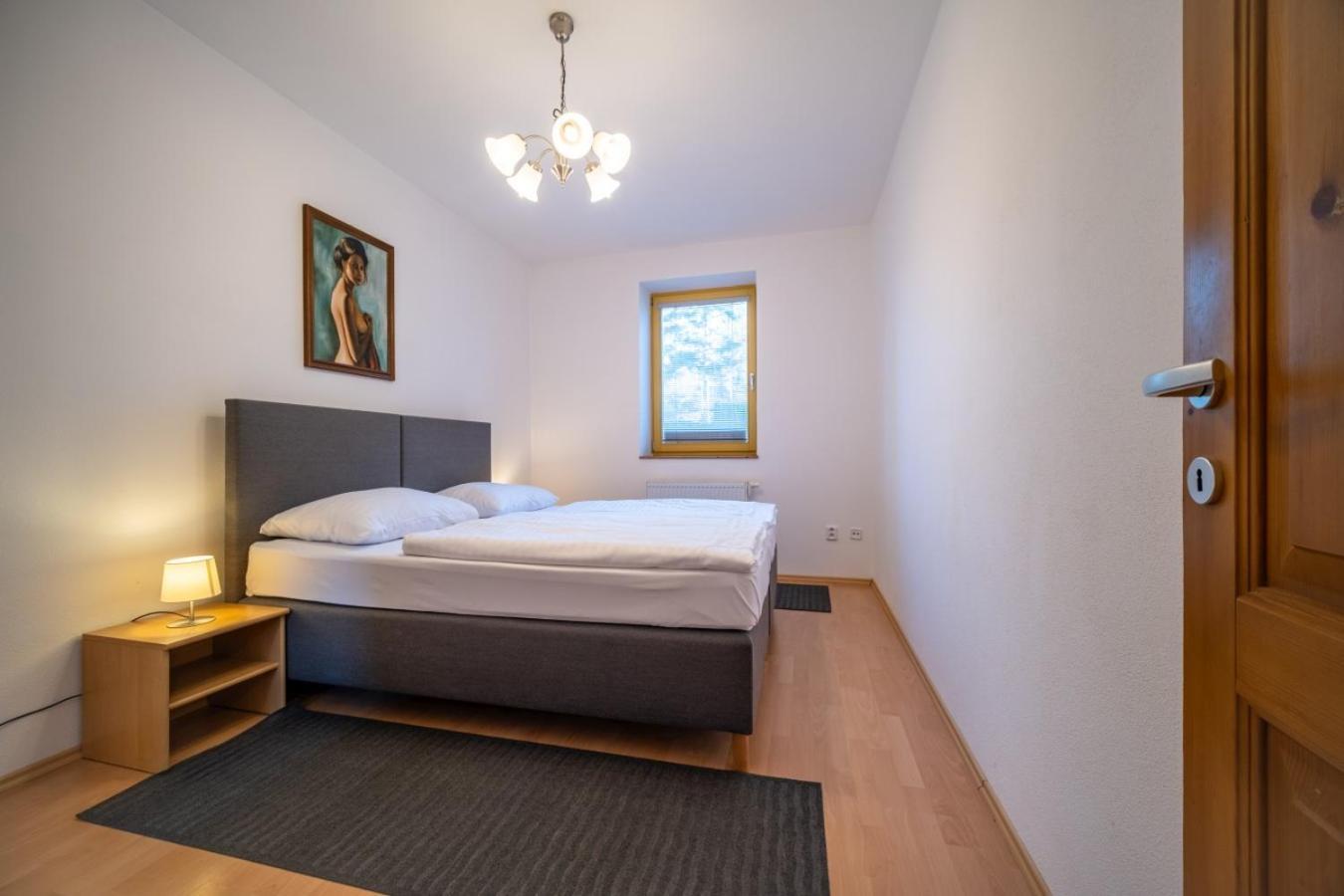 Apartment Riviera 500-15 Lipno Home リプノ・ナト・ヴルタヴォウ エクステリア 写真