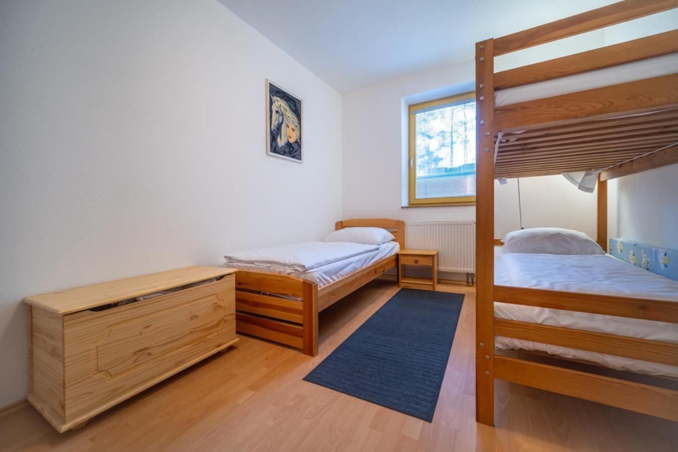 Apartment Riviera 500-15 Lipno Home リプノ・ナト・ヴルタヴォウ エクステリア 写真